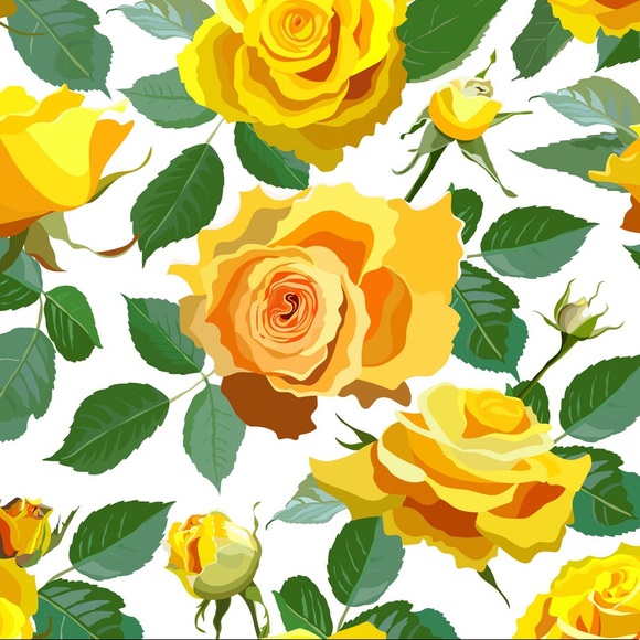 Meet your Posher, Emma - Picture 1 of 1